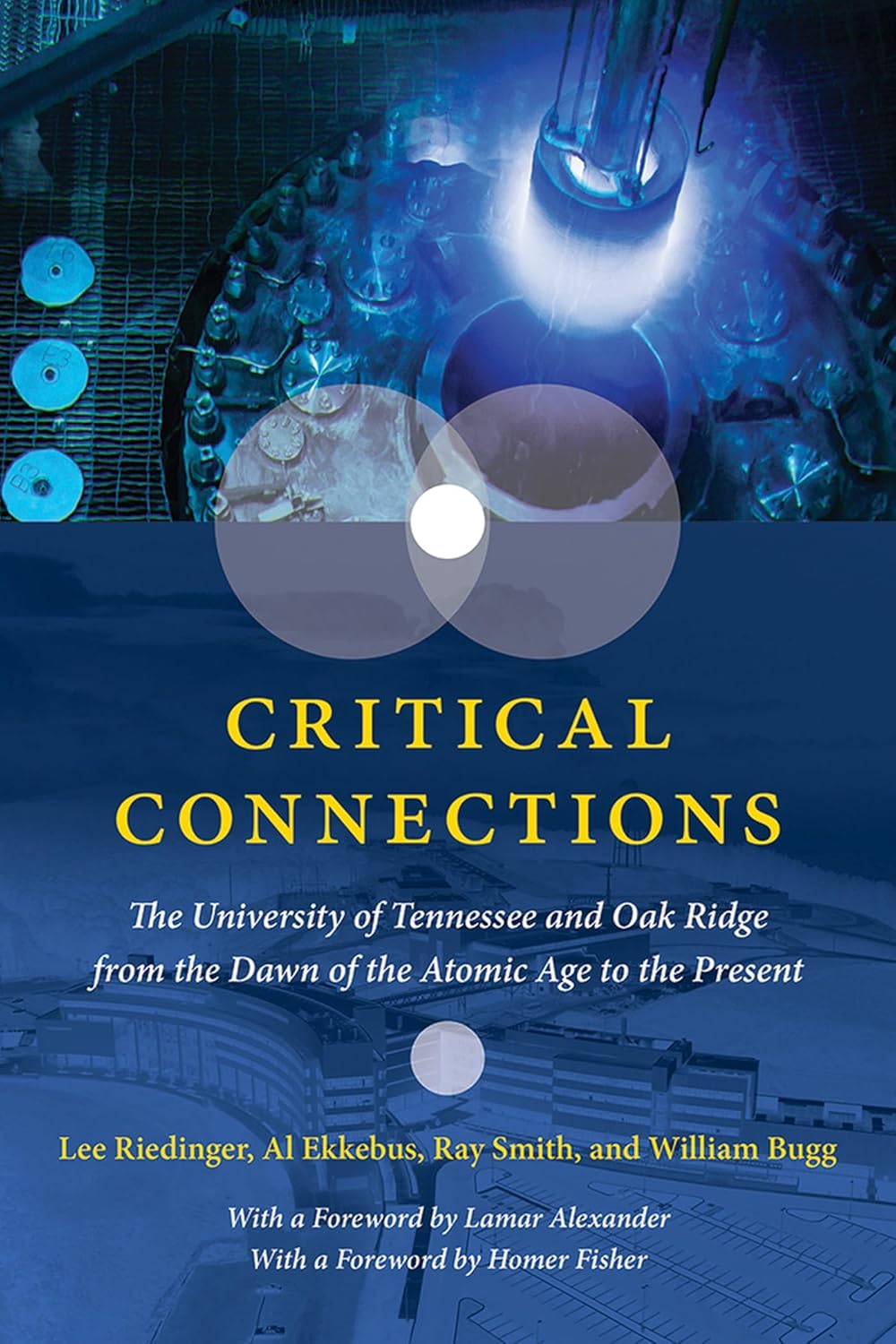 Critical Connections book cover